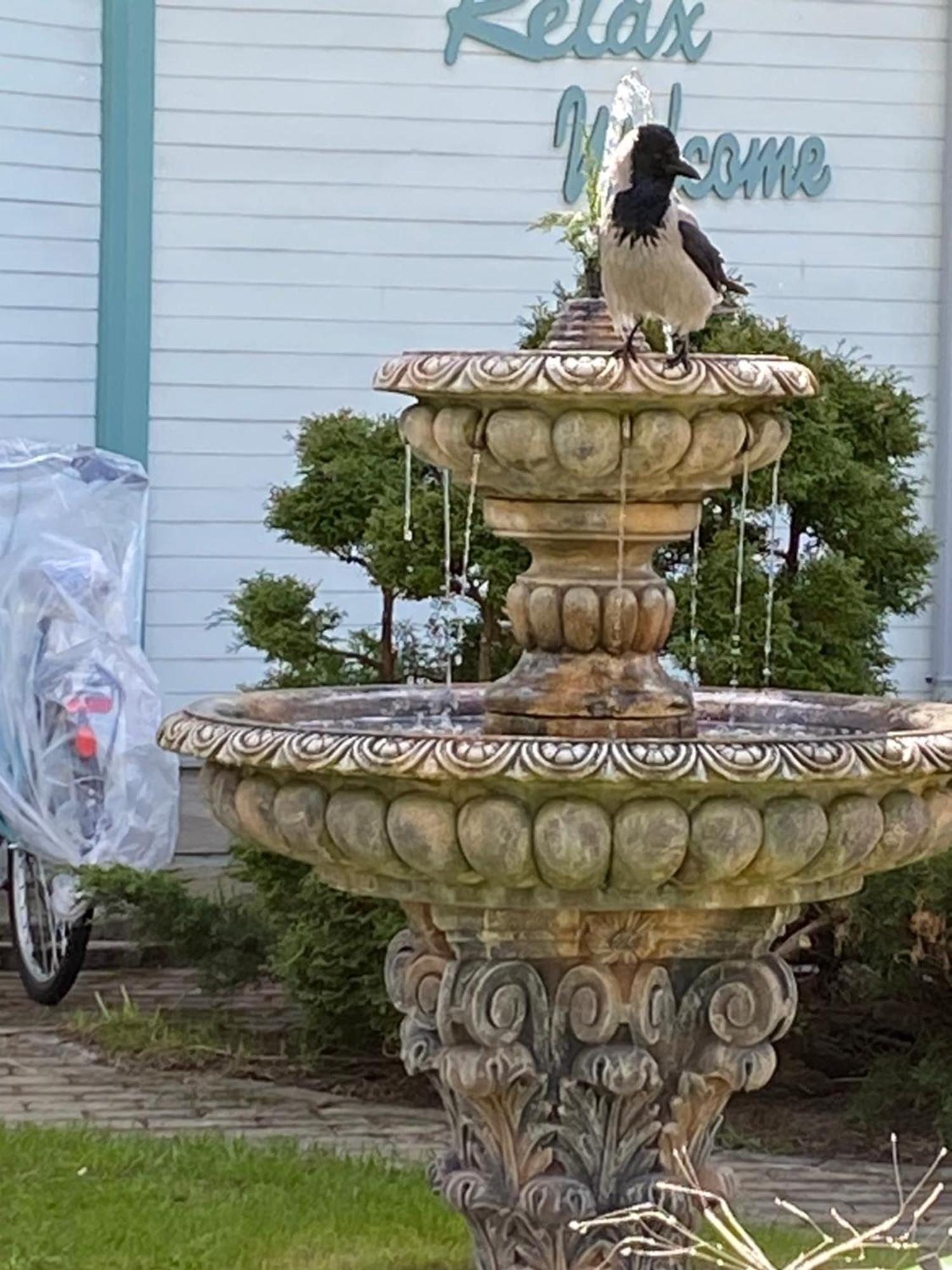 Parus Boutique Hotel Jūrkalne Exteriör bild